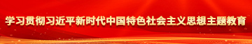 操小穴视频学习贯彻习近平新时代中国特色社会主义思想主题教育